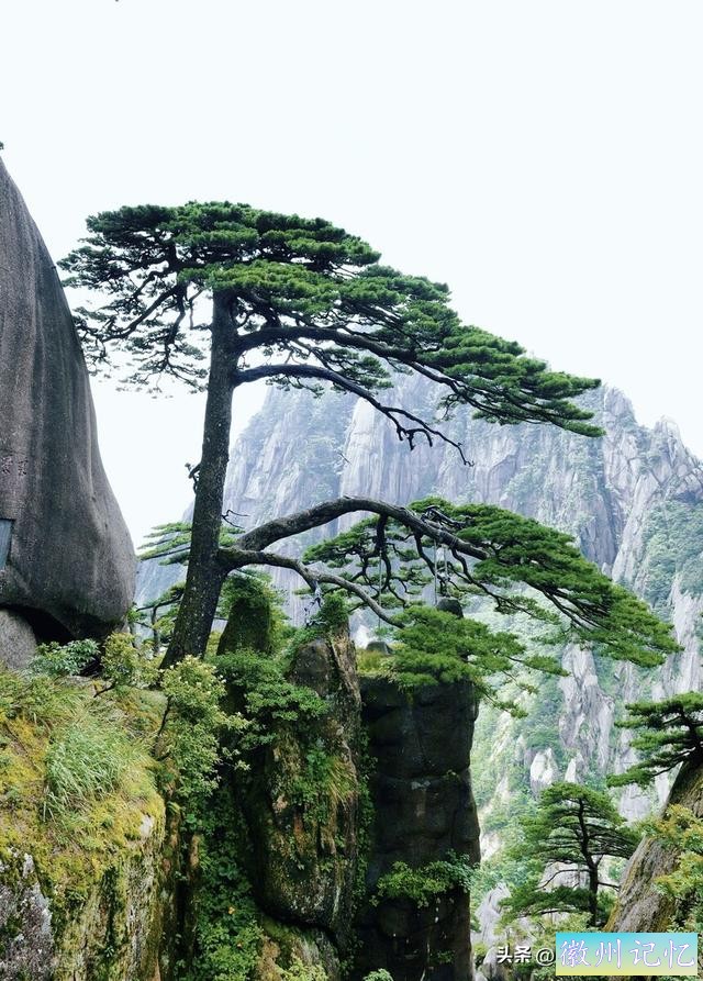 安徽黄山风景区游客排队三小时登顶莲花峰，只为打卡留影-9.jpg