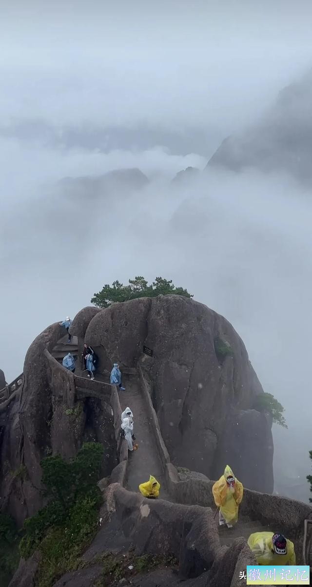 黄山风景 莲花峰 摄影白鸽-26.jpg