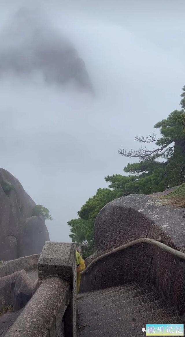 黄山风景 莲花峰 摄影白鸽-28.jpg