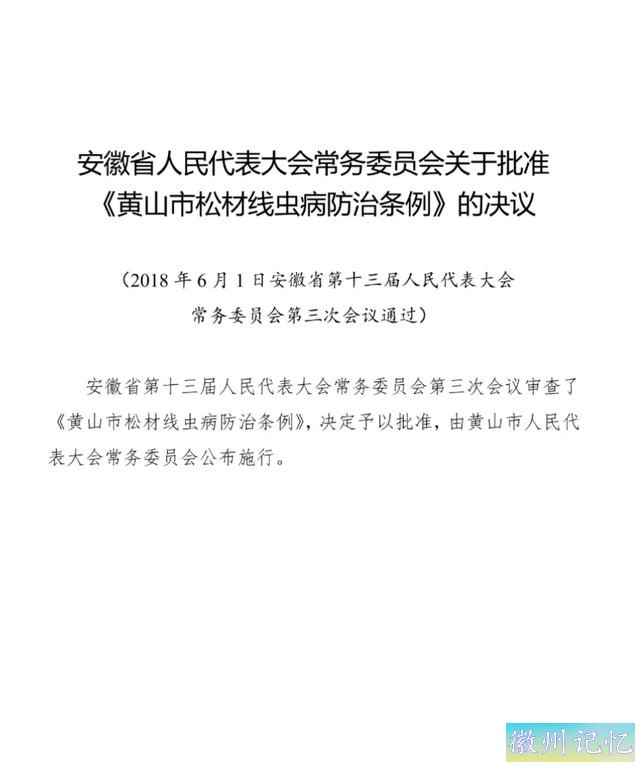 终于知道黄山迎客松为什么是我国最贵的树了！-3.jpg