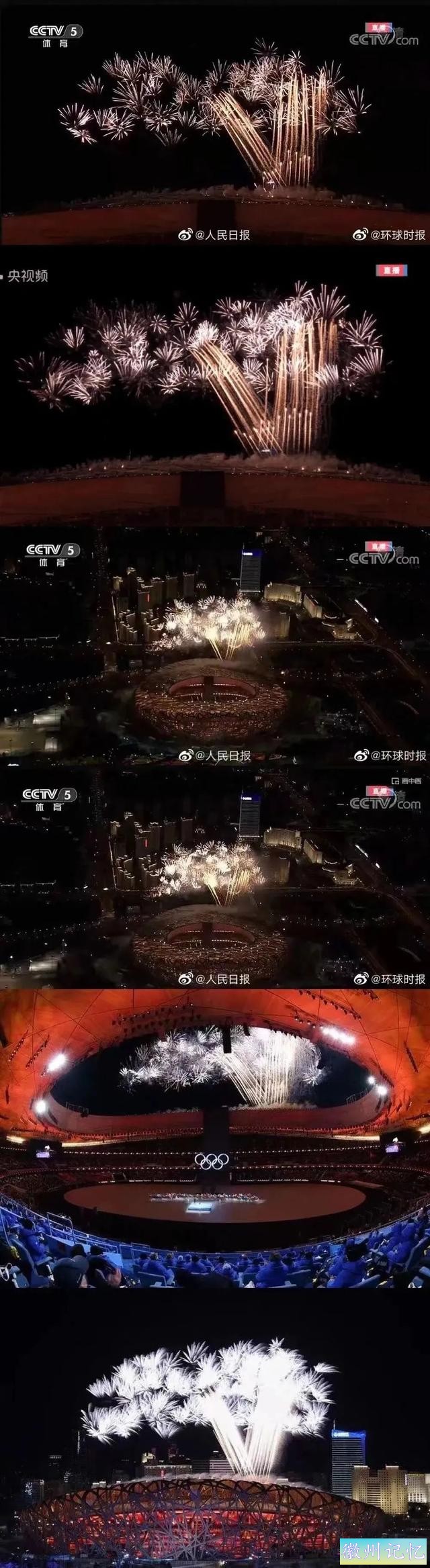 绝美！迎客松盛开的三种“花”-5.jpg
