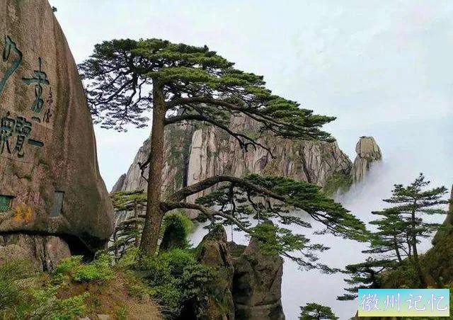 分享——黄山迎客松美图-4.jpg
