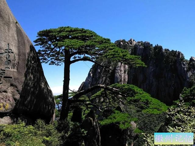 分享——黄山迎客松美图-10.jpg