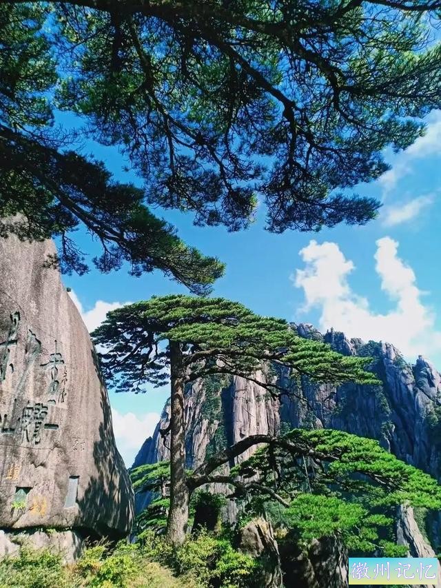 分享——黄山迎客松美图-11.jpg