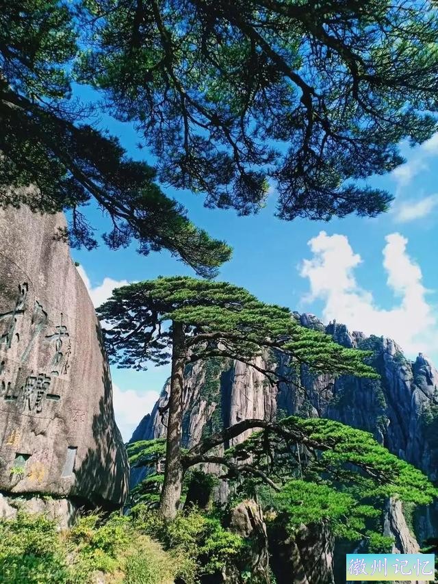 分享——黄山迎客松美图-14.jpg