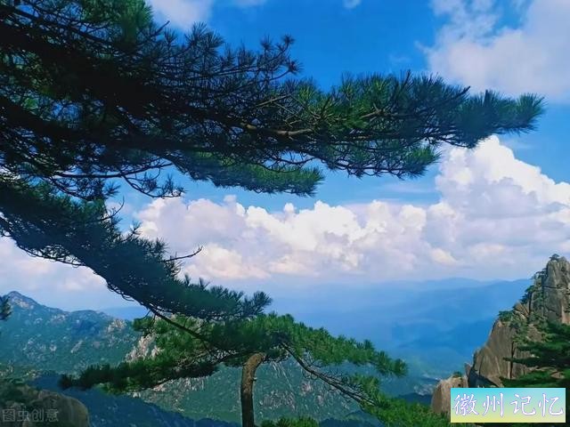 分享——黄山迎客松美图-16.jpg