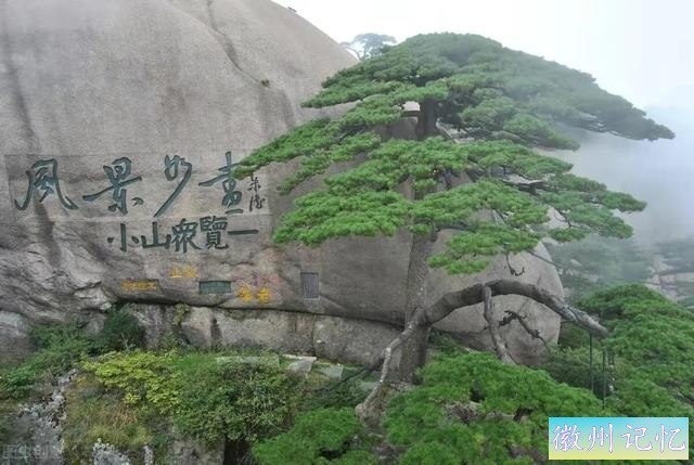 分享——黄山迎客松美图-18.jpg