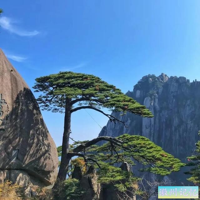 分享——黄山迎客松美图-20.jpg