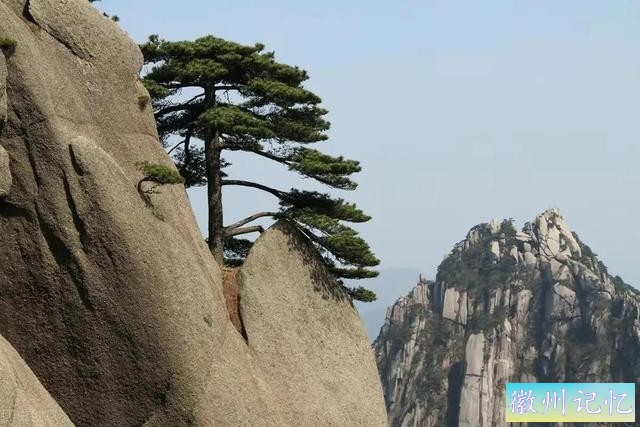 分享——黄山迎客松美图-21.jpg