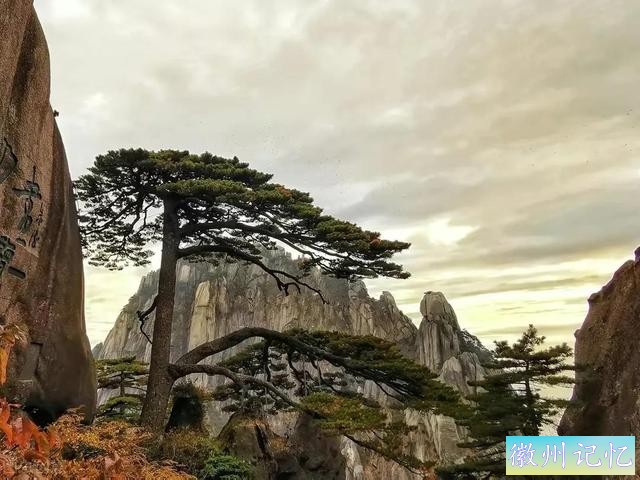 分享——黄山迎客松美图-22.jpg