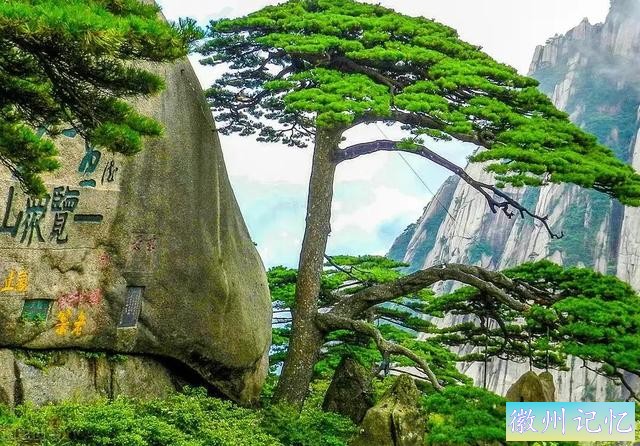 分享——黄山迎客松美图-24.jpg
