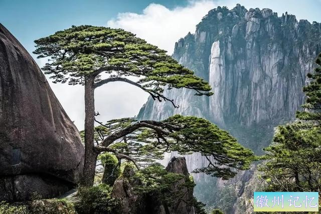 分享——黄山迎客松美图-28.jpg