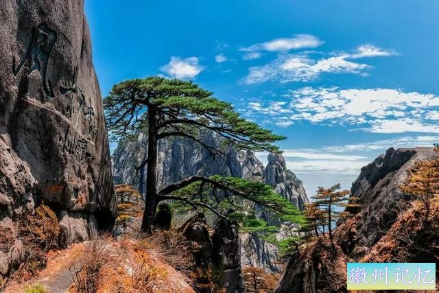 分享——黄山迎客松美图-30.jpg