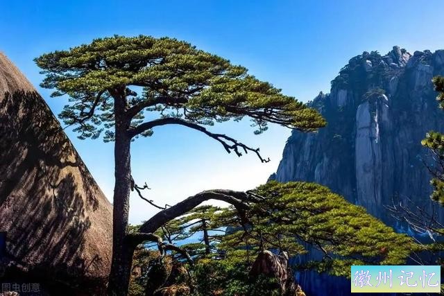 分享——黄山迎客松美图-31.jpg