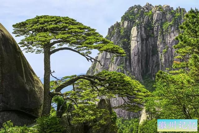 分享——黄山迎客松美图-34.jpg
