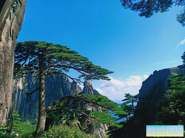 分享——黄山迎客松美图-33.jpg