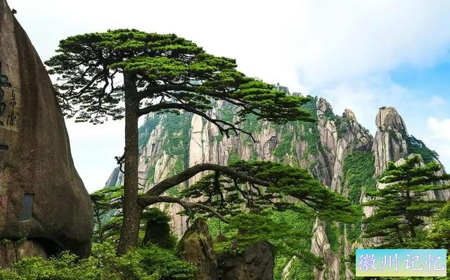 分享——黄山迎客松美图-38.jpg