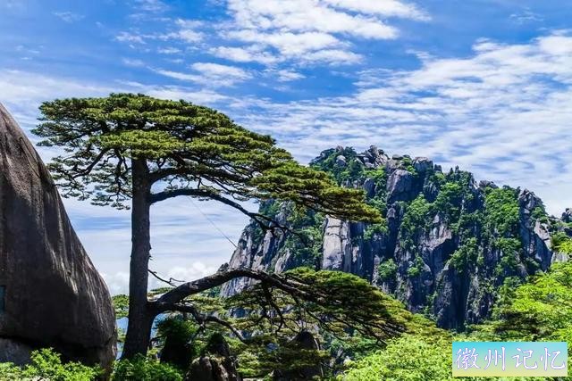 分享——黄山迎客松美图-37.jpg