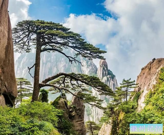 分享——黄山迎客松美图-40.jpg