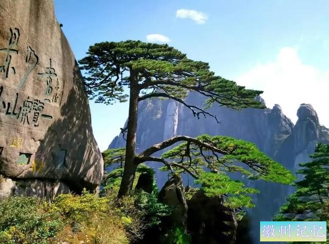 分享——黄山迎客松美图-41.jpg