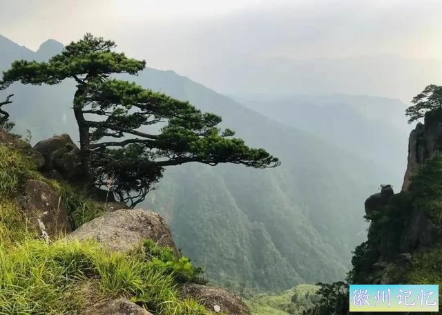 分享——黄山迎客松美图-43.jpg