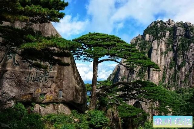 分享——黄山迎客松美图-44.jpg