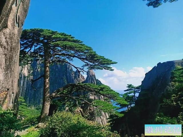 分享——黄山迎客松美图-46.jpg