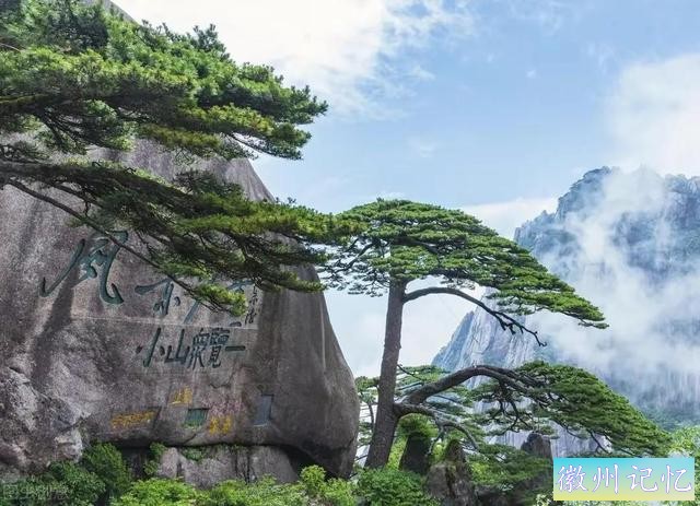 分享——黄山迎客松美图-47.jpg