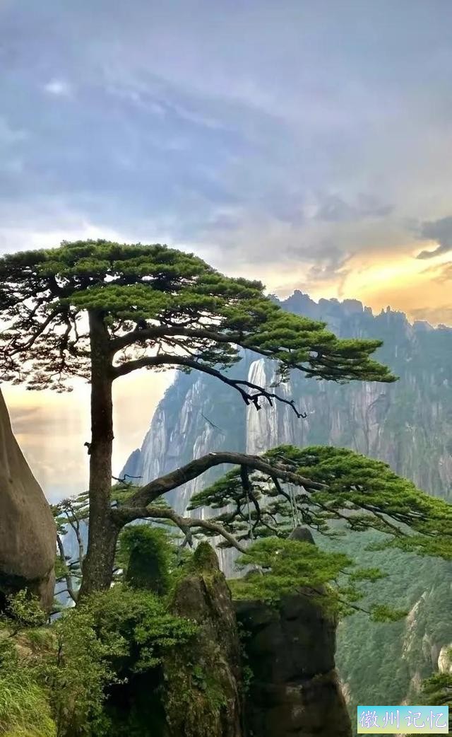分享——黄山迎客松美图-50.jpg