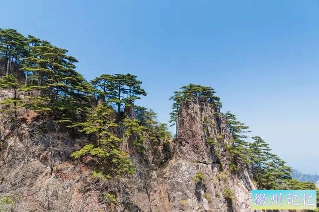 分享——黄山迎客松美图-51.jpg