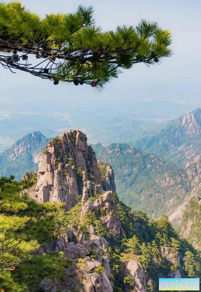 分享——黄山迎客松美图-53.jpg