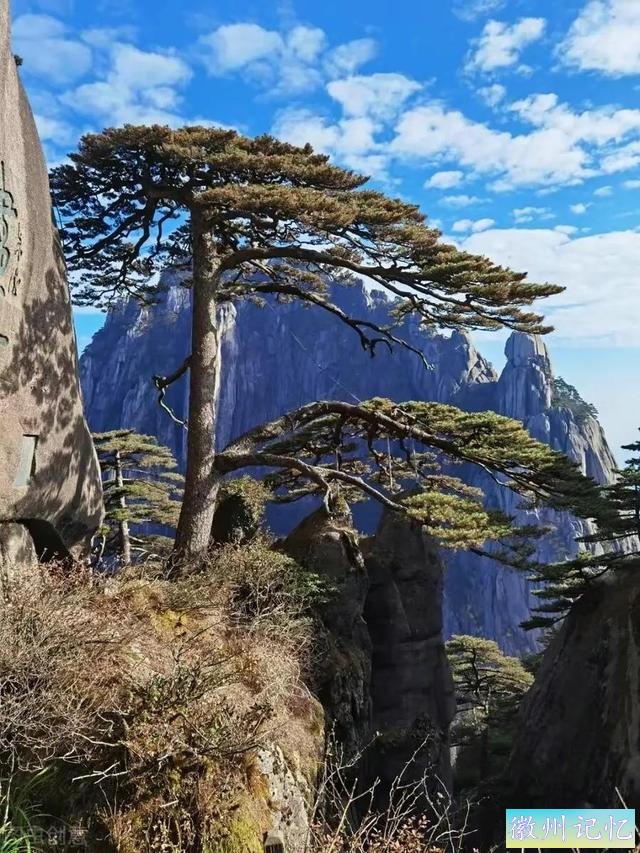 分享——黄山迎客松美图-52.jpg