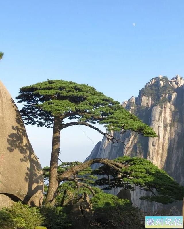 分享——黄山迎客松美图-58.jpg