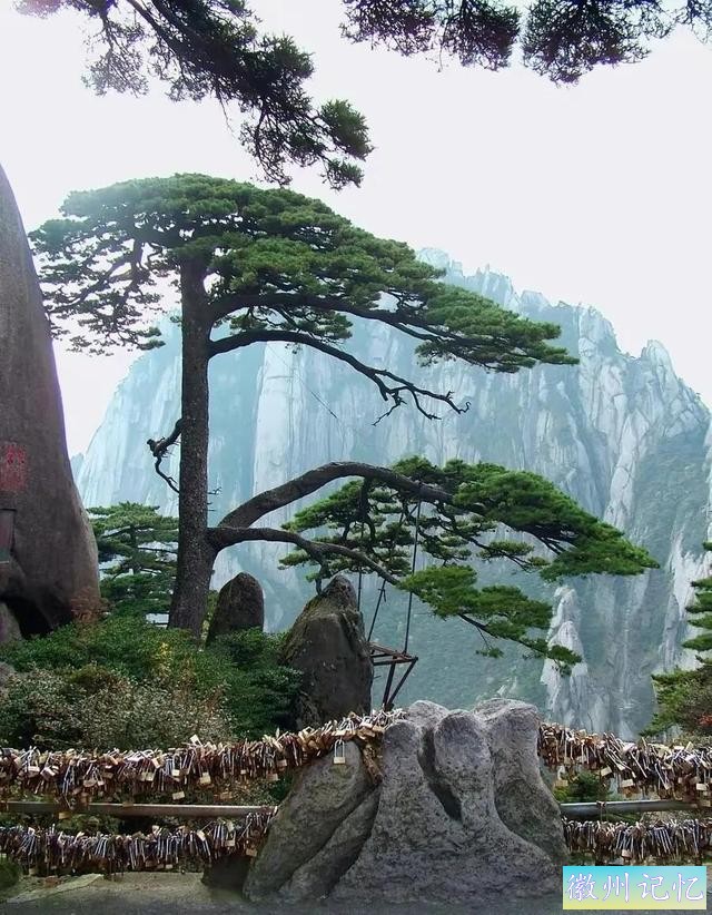 分享——黄山迎客松美图-57.jpg