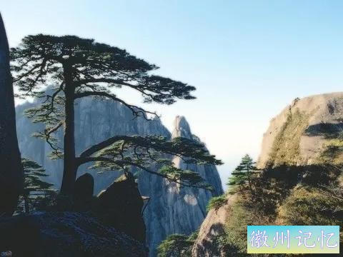 分享——黄山迎客松美图-59.jpg