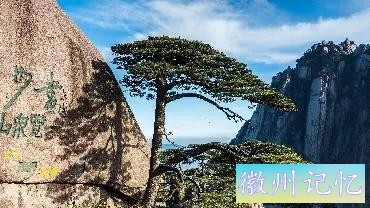 分享——黄山迎客松美图-60.jpg