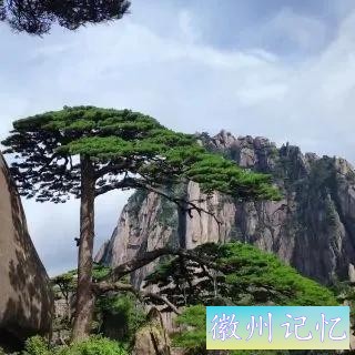 分享——黄山迎客松美图-64.jpg