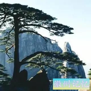 分享——黄山迎客松美图-67.jpg