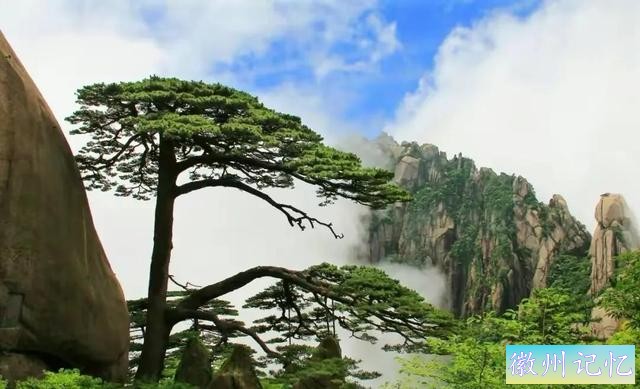 分享——黄山迎客松美图-72.jpg