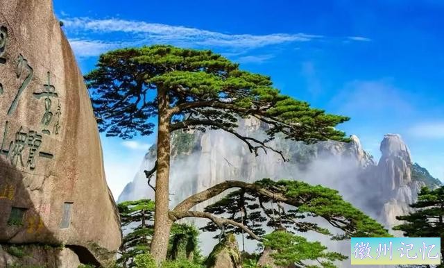 分享——黄山迎客松美图-75.jpg