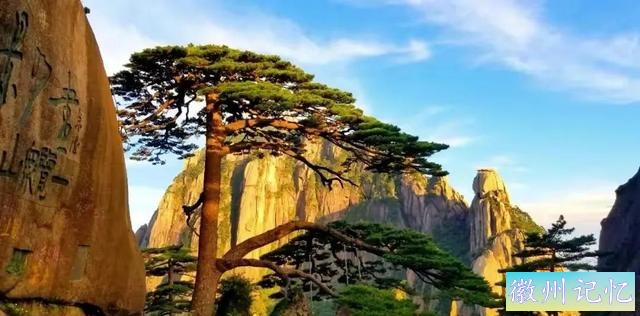 分享——黄山迎客松美图-74.jpg