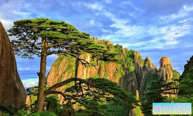 分享——黄山迎客松美图-76.jpg