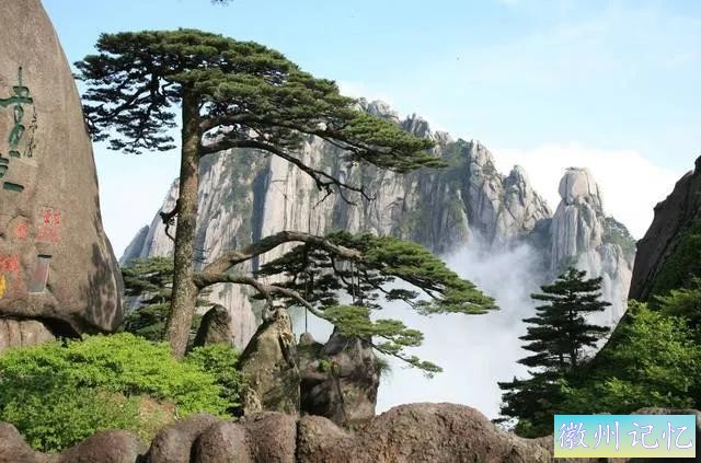 分享——黄山迎客松美图-78.jpg