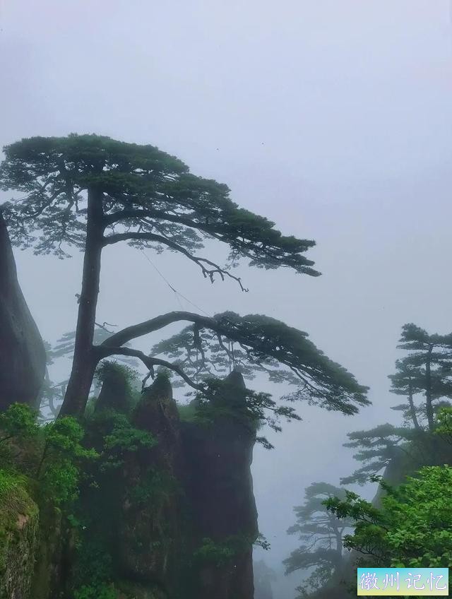 #黄山莲花峰即将关闭# #黄山旅游胜地# #云海奇不雅观#-3.jpg