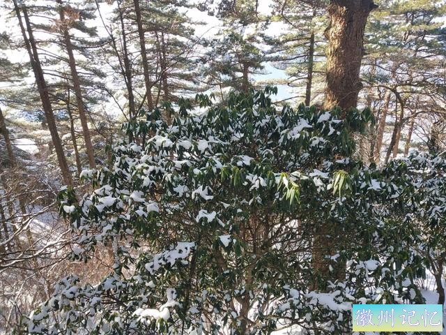 玉屏景区半日游-18.jpg
