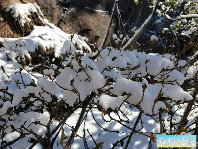 玉屏景区半日游-20.jpg