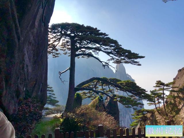 攀登黄山主峰之一、第二高峰，海拔1860米的光明顶-13.jpg