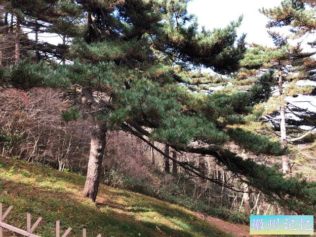 攀登黄山主峰之一、第二高峰，海拔1860米的光明顶-39.jpg