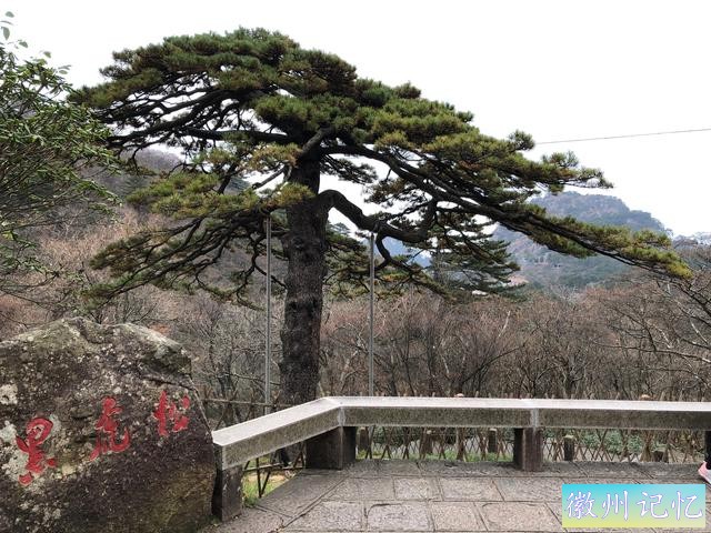 攀登黄山主峰之一、第二高峰，海拔1860米的光明顶-40.jpg
