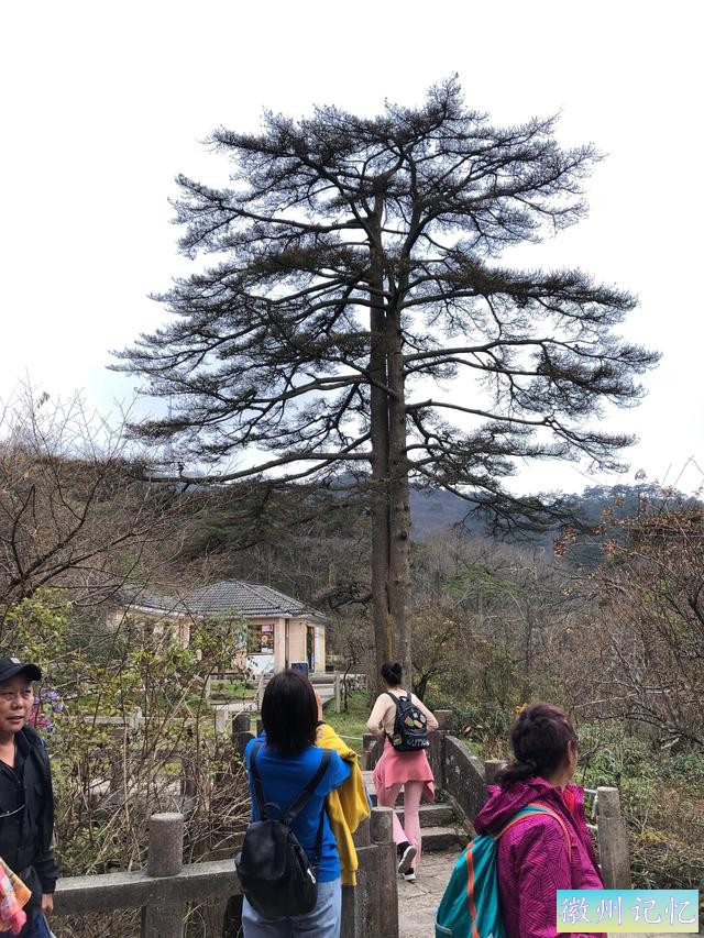 攀登黄山主峰之一、第二高峰，海拔1860米的光明顶-41.jpg